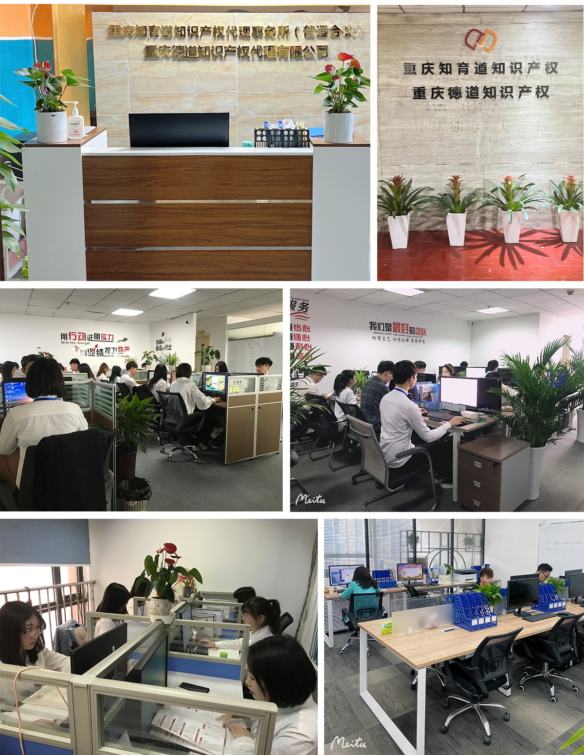 1647251528373151.jpg 1-(6).jpg