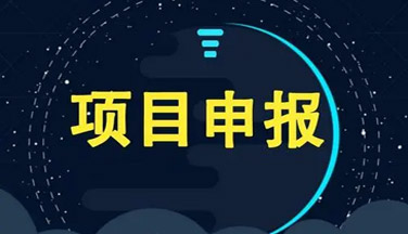政府项目申报